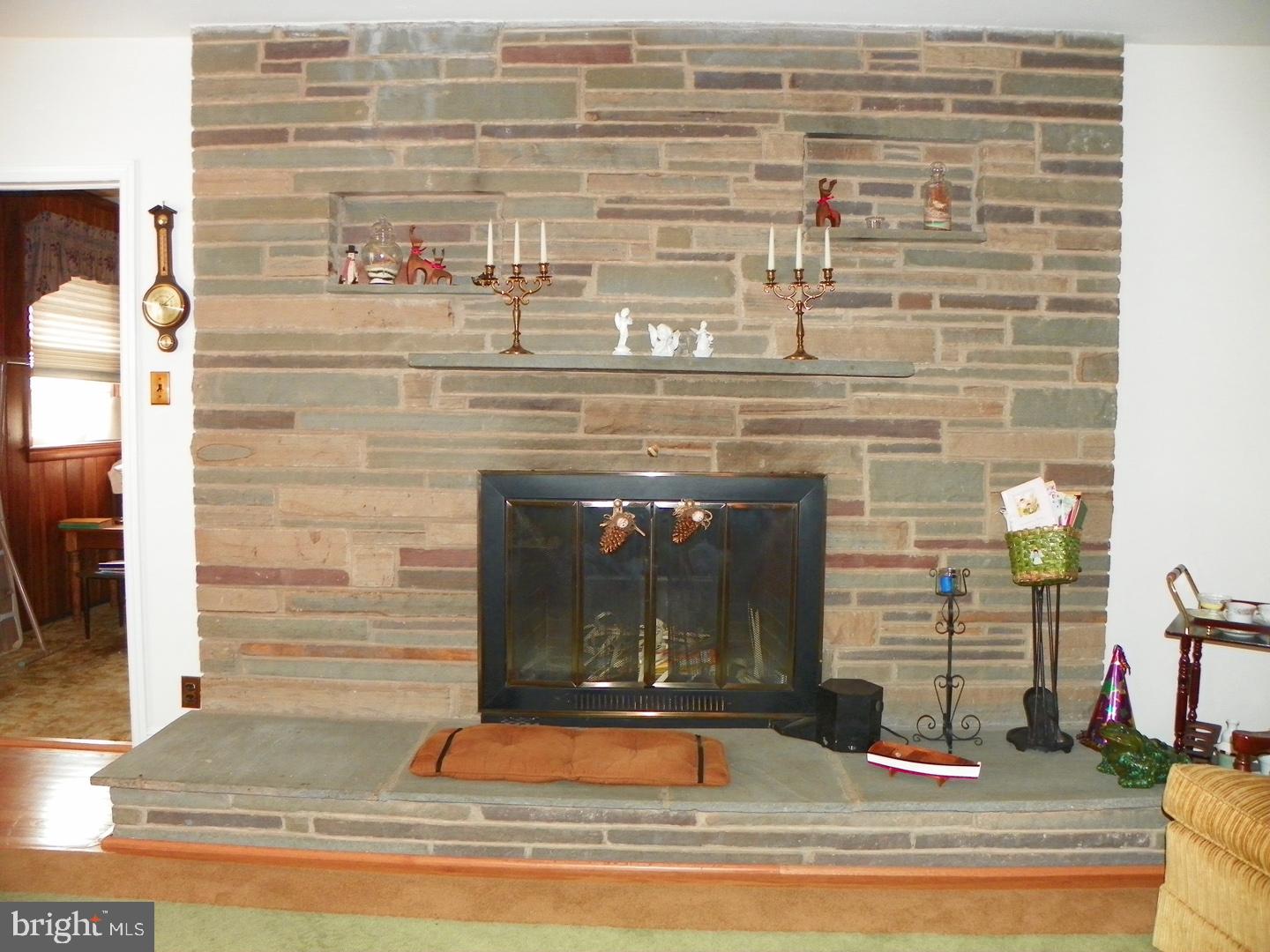 4001 Coleridge Road Wilmington, DE 19802 - Photo 7 of 16 Fireplace