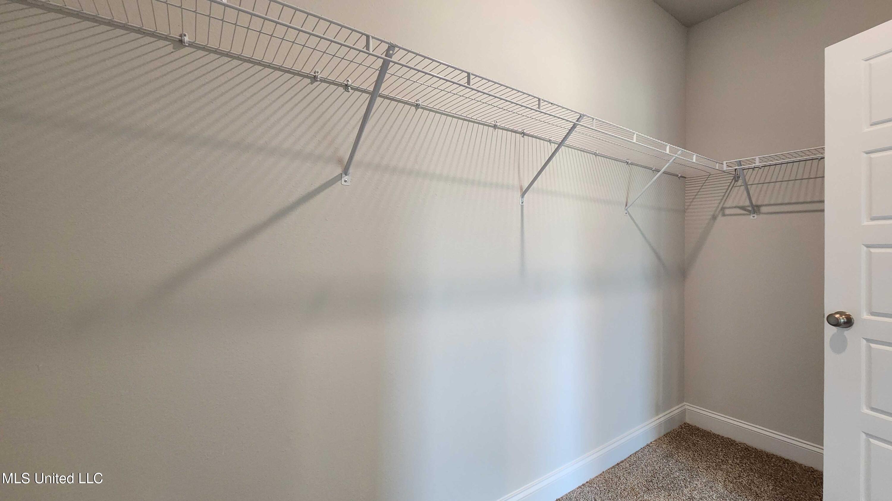 16178 Blue Rdg Drive Gulfport, MS 39503 - Photo 20 of 32 Primary Closet