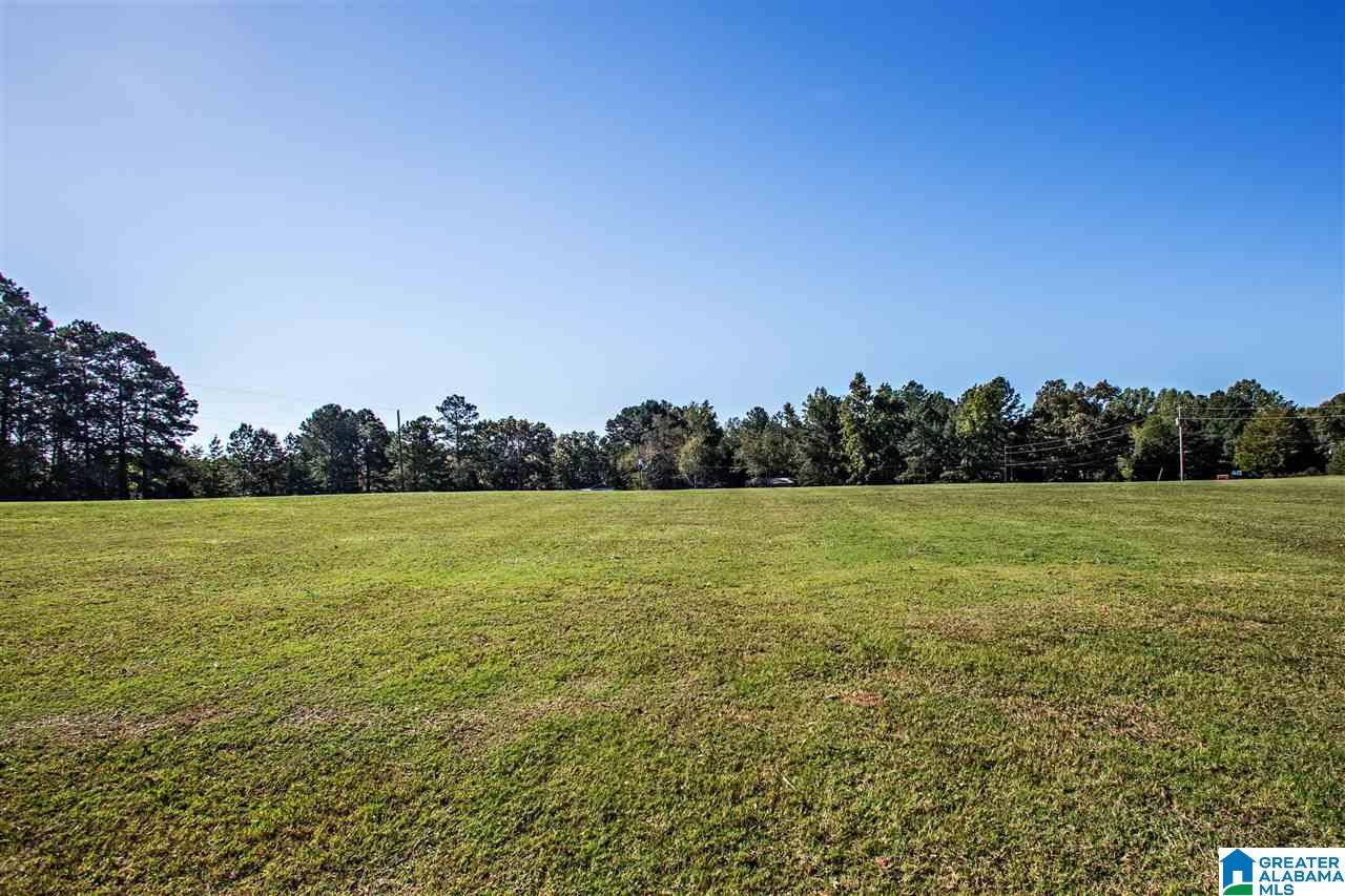 581 Fred Terry Road Locust Fork, AL 35097 - Photo 48 of 49