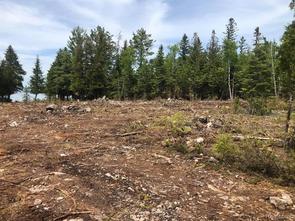 33882 South Dix Point Road Drummond Island, MI 49726 - Photo 15 of 19