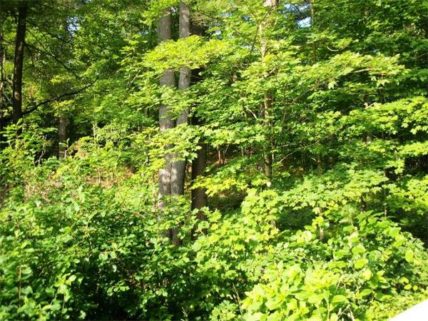 0 Hill Road Groton, MA 01450 - Photo 3 of 3