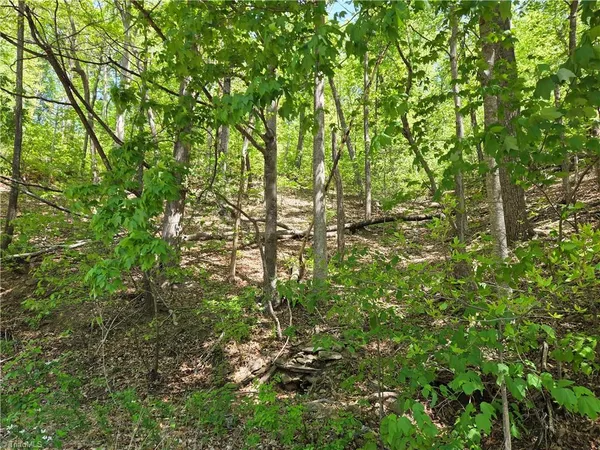$37,250 | Tbd Tbd Price Road, Moravian Falls, NC 28654