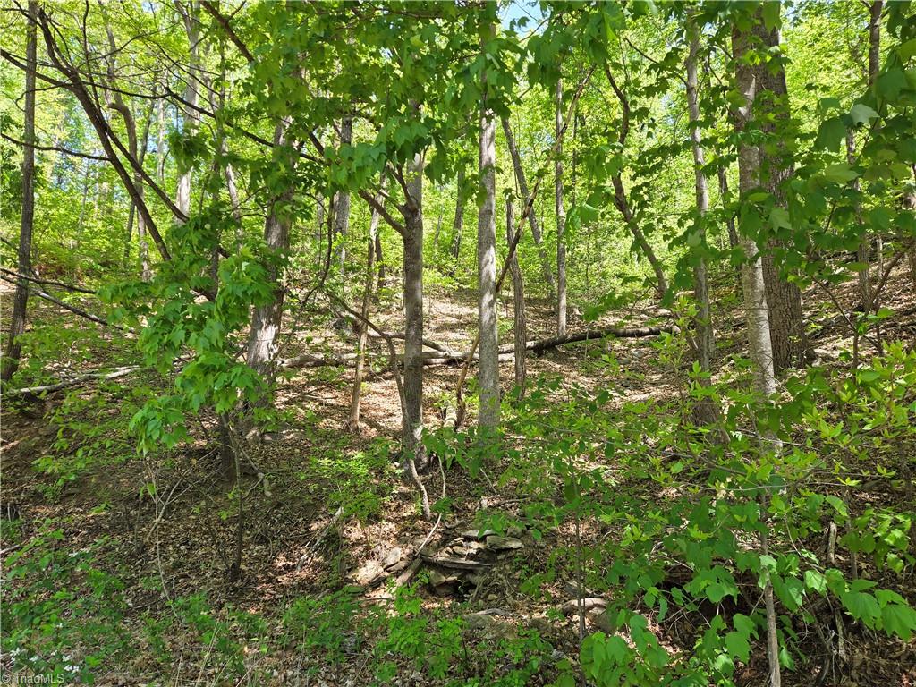 Tbd Tbd Price Road Moravian Falls, NC 28654 - Photo 1 of 10