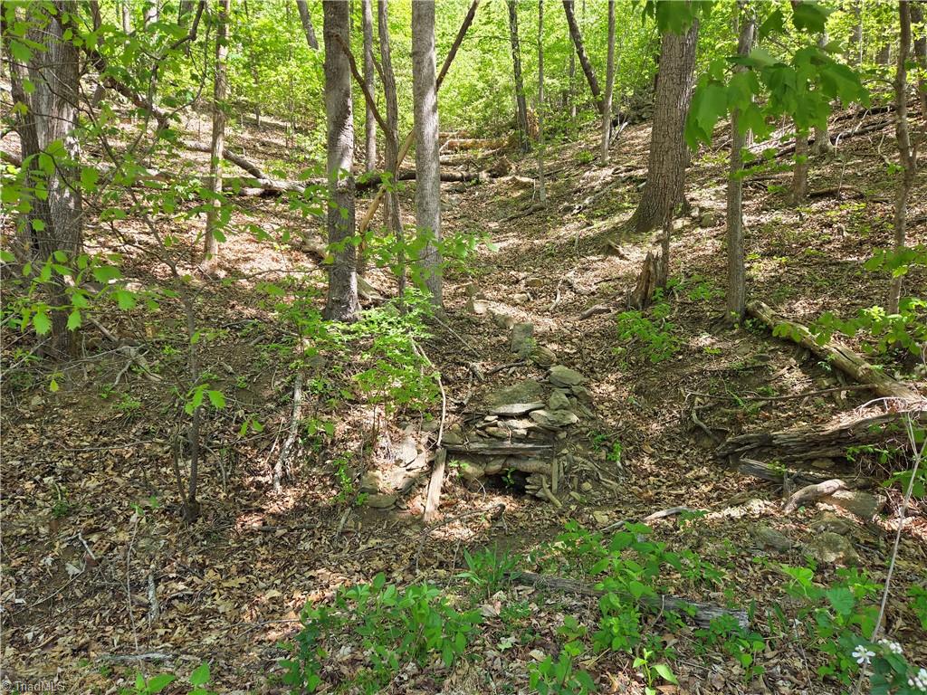 Tbd Tbd Price Road Moravian Falls, NC 28654 - Photo 2 of 10