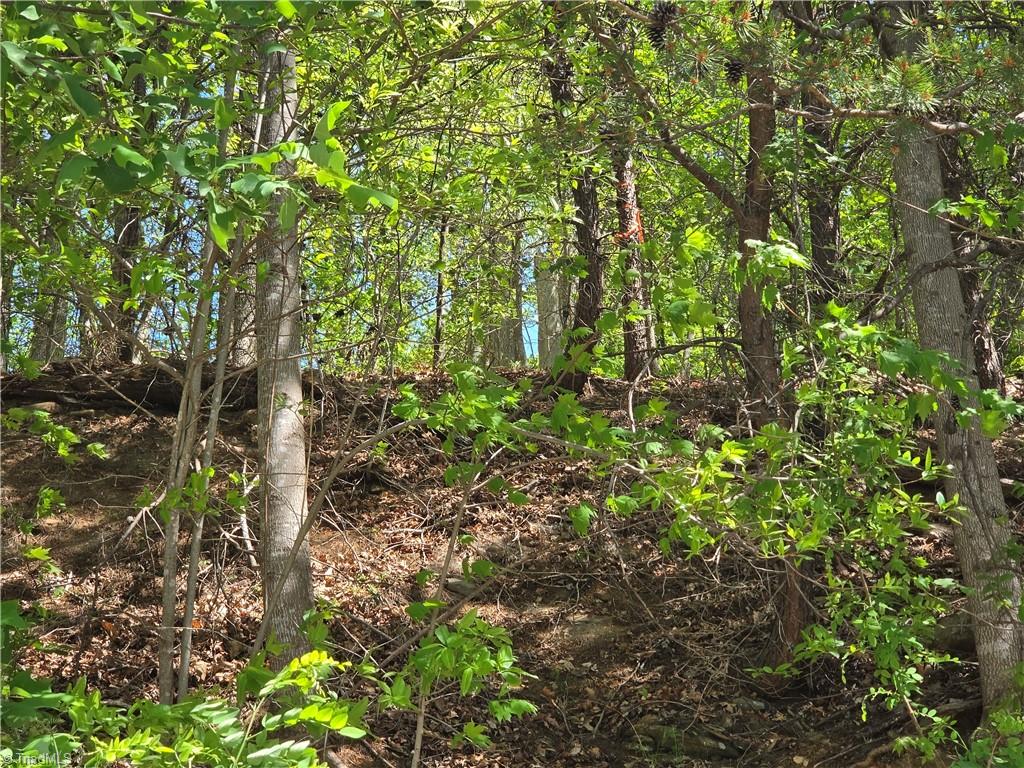 Tbd Tbd Price Road Moravian Falls, NC 28654 - Photo 3 of 10