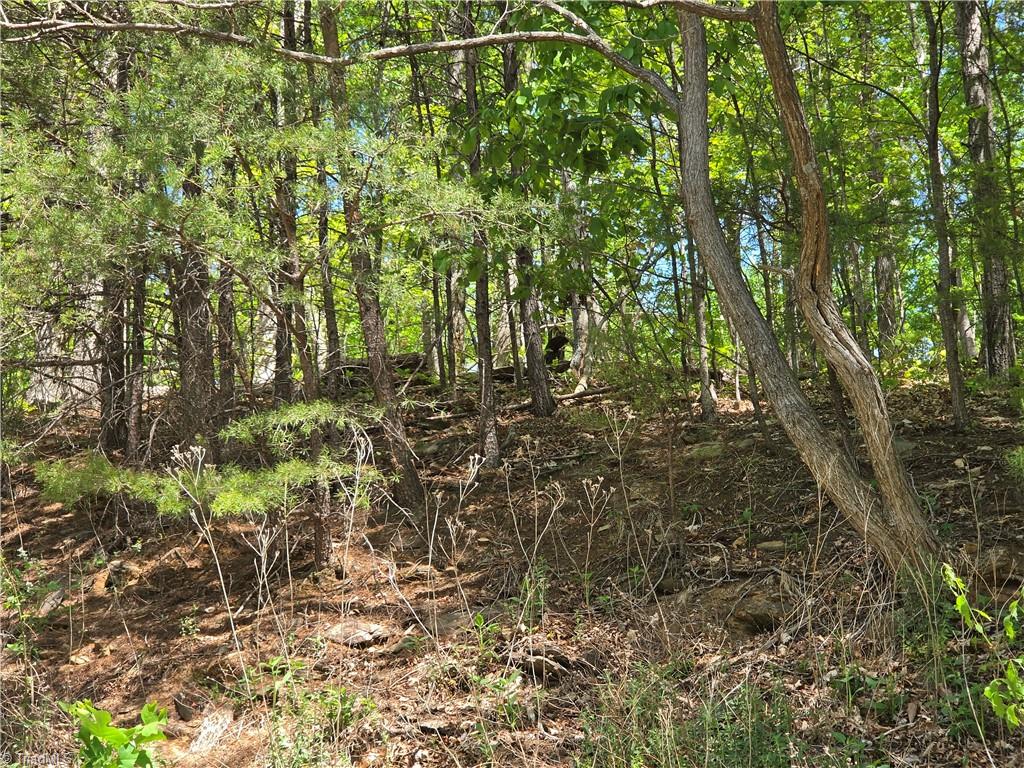Tbd Tbd Price Road Moravian Falls, NC 28654 - Photo 4 of 10