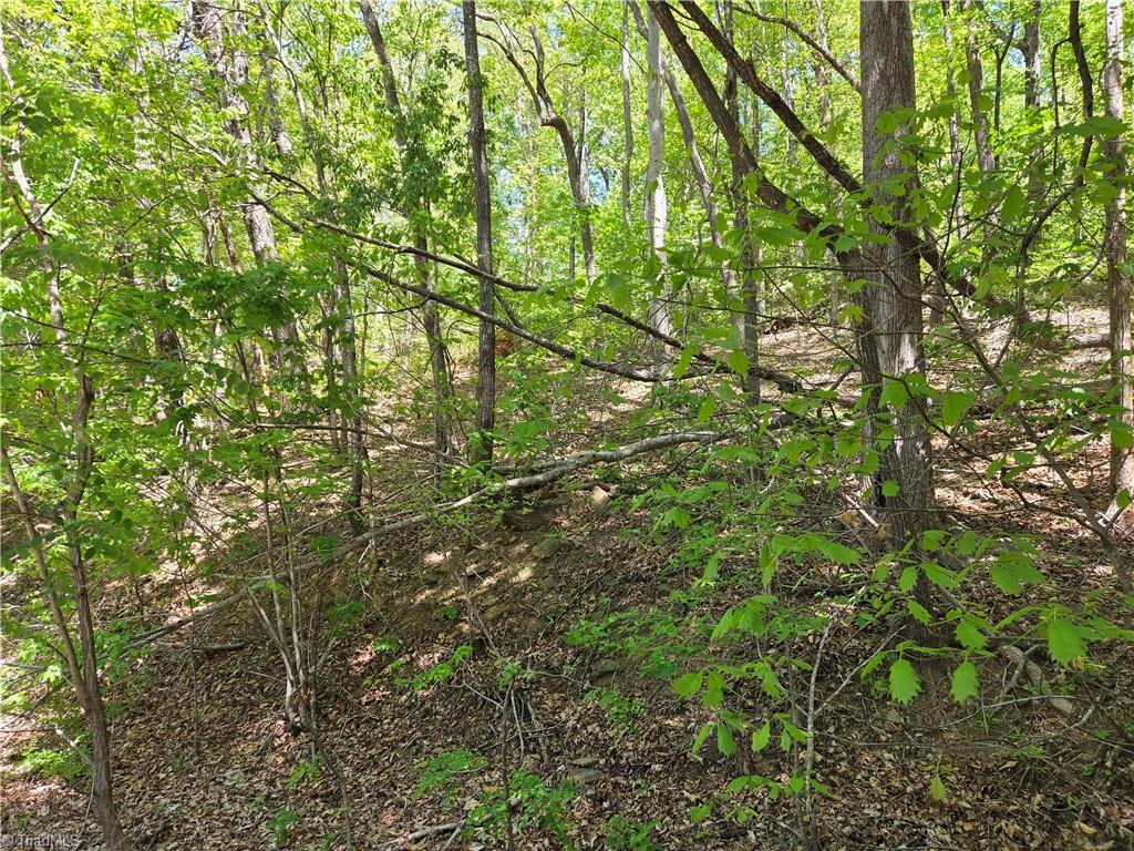 Tbd Tbd Price Road Moravian Falls, NC 28654 - Photo 5 of 10