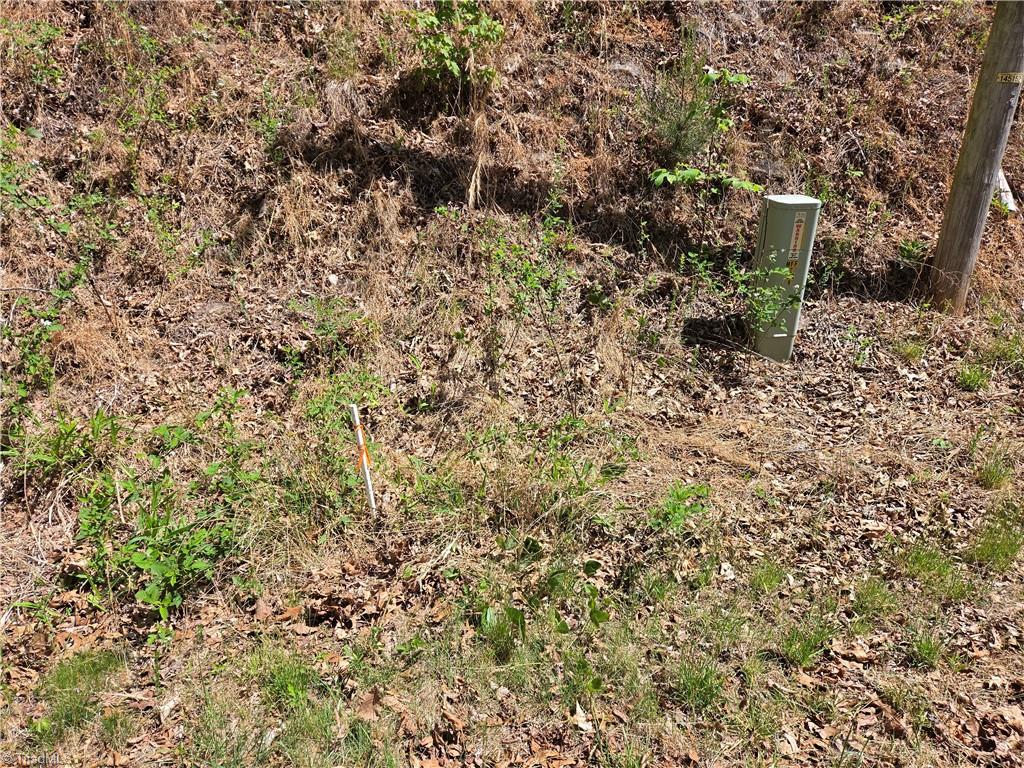 Tbd Tbd Price Road Moravian Falls, NC 28654 - Photo 6 of 10