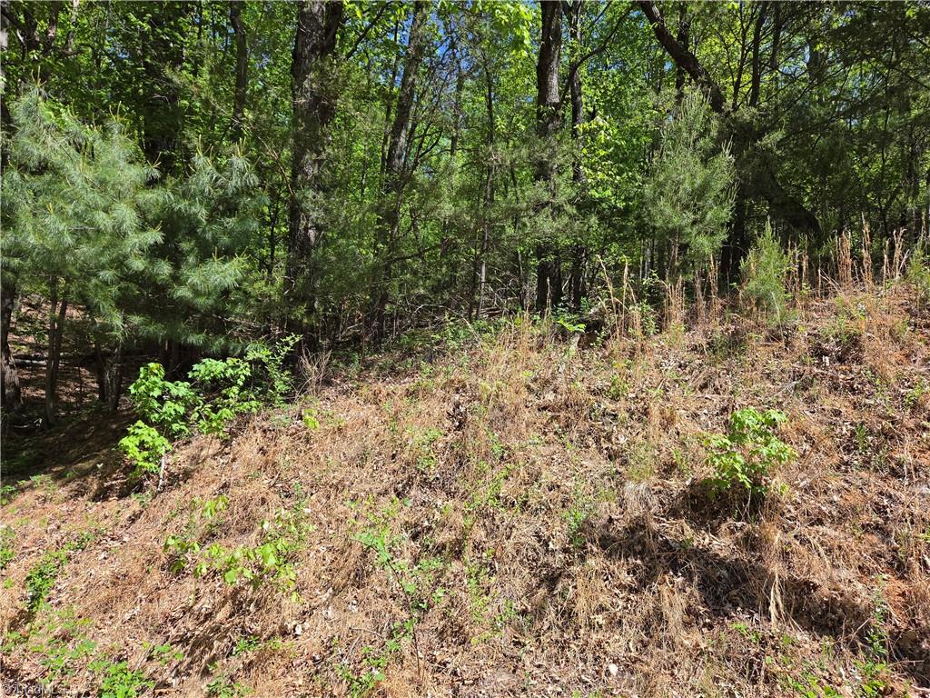 Tbd Tbd Price Road Moravian Falls, NC 28654 - Photo 7 of 10