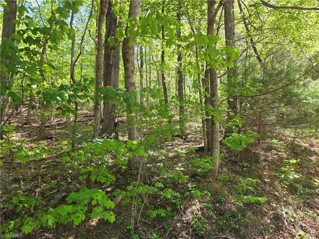 Tbd Tbd Price Road Moravian Falls, NC 28654 - Photo 8 of 10