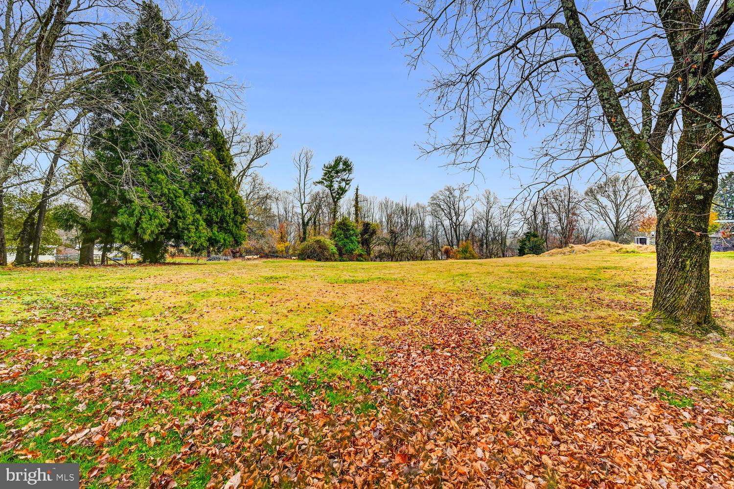 3925 Dance Mill Road Phoenix, MD 21131 - Photo 22 of 26 a view of outdoor space with swimming pool and green space