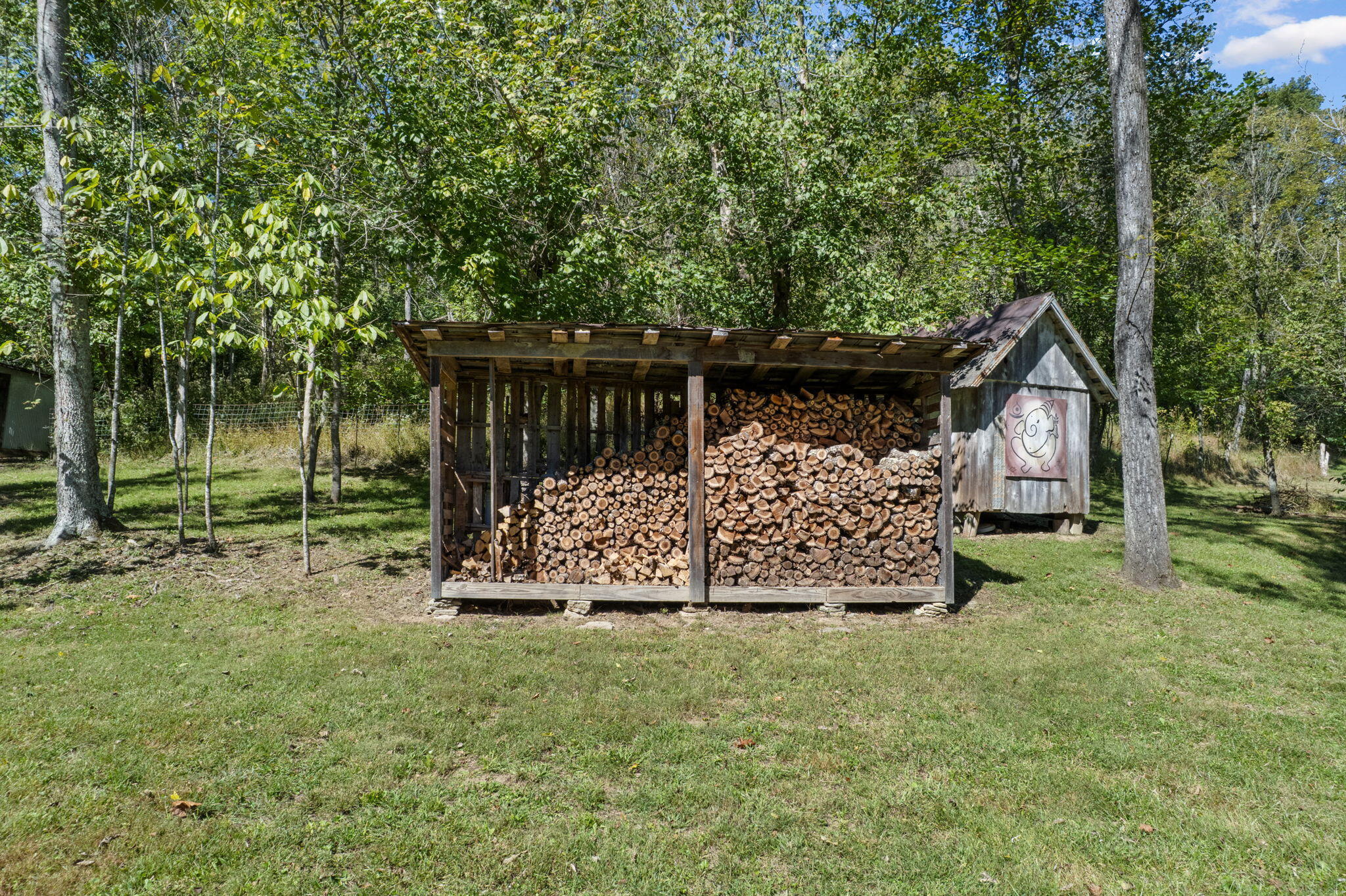 925 Lockmier Road Augusta, KY 41002 - Photo 20 of 52 Wood Storage