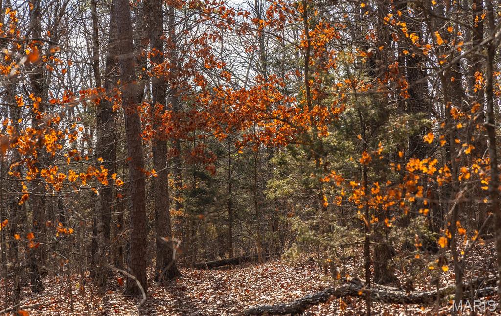1 Bust Subdivision Road Potosi, MO 63664 - Photo 13 of 38
