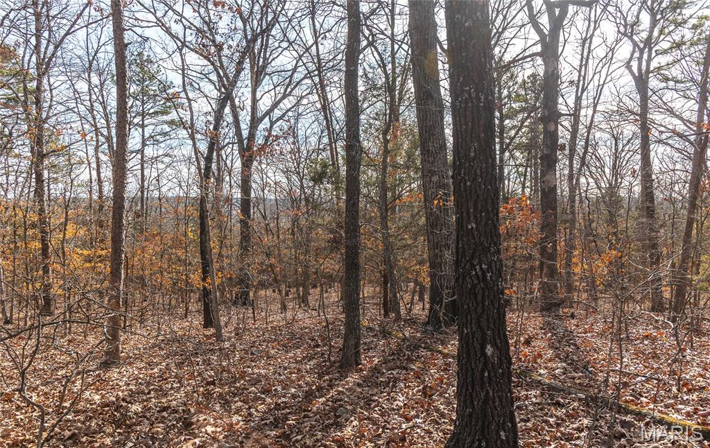 1 Bust Subdivision Road Potosi, MO 63664 - Photo 17 of 38