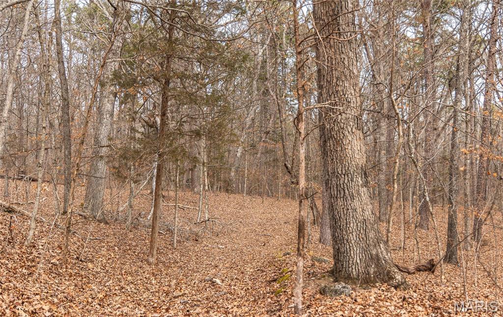 1 Bust Subdivision Road Potosi, MO 63664 - Photo 23 of 38