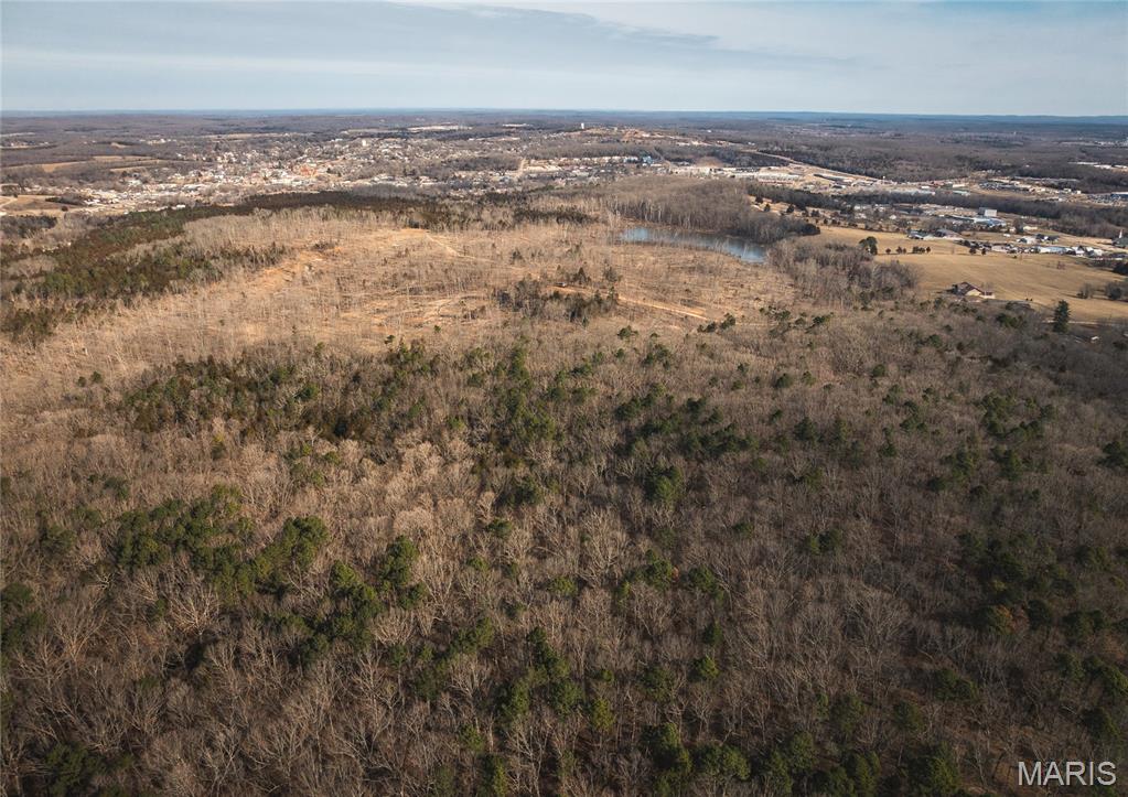 1 Bust Subdivision Road Potosi, MO 63664 - Photo 26 of 38