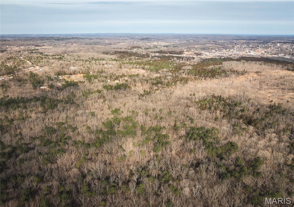 1 Bust Subdivision Road Potosi, MO 63664 - Photo 27 of 38