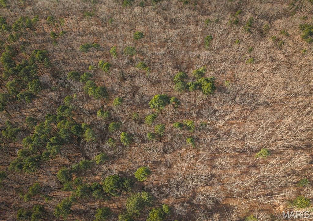 1 Bust Subdivision Road Potosi, MO 63664 - Photo 30 of 38