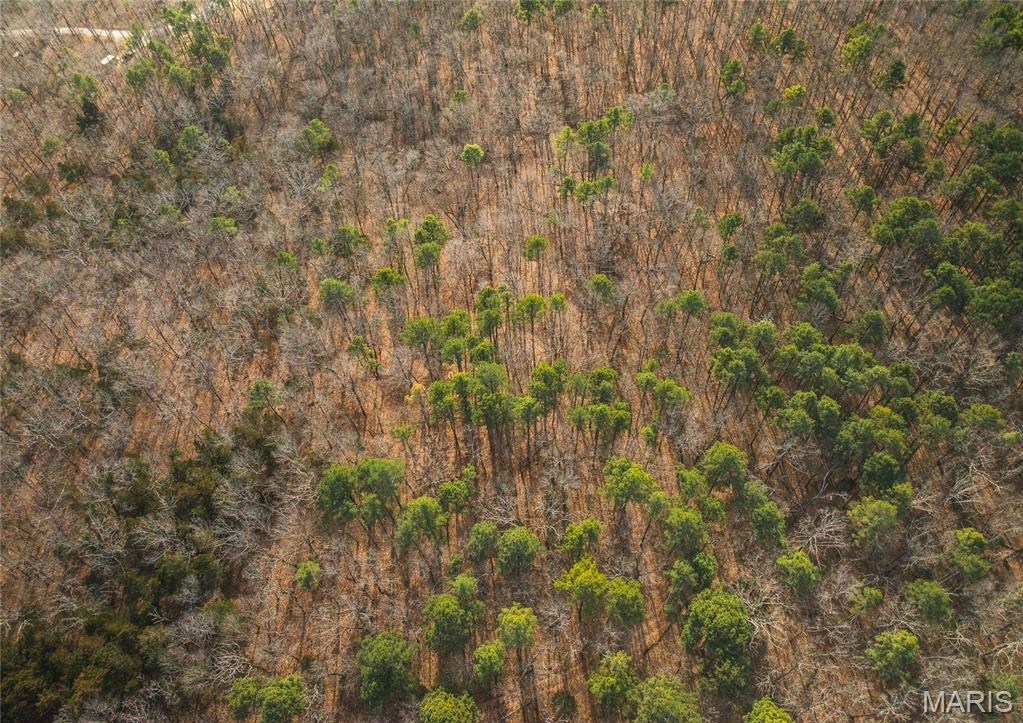 1 Bust Subdivision Road Potosi, MO 63664 - Photo 33 of 38