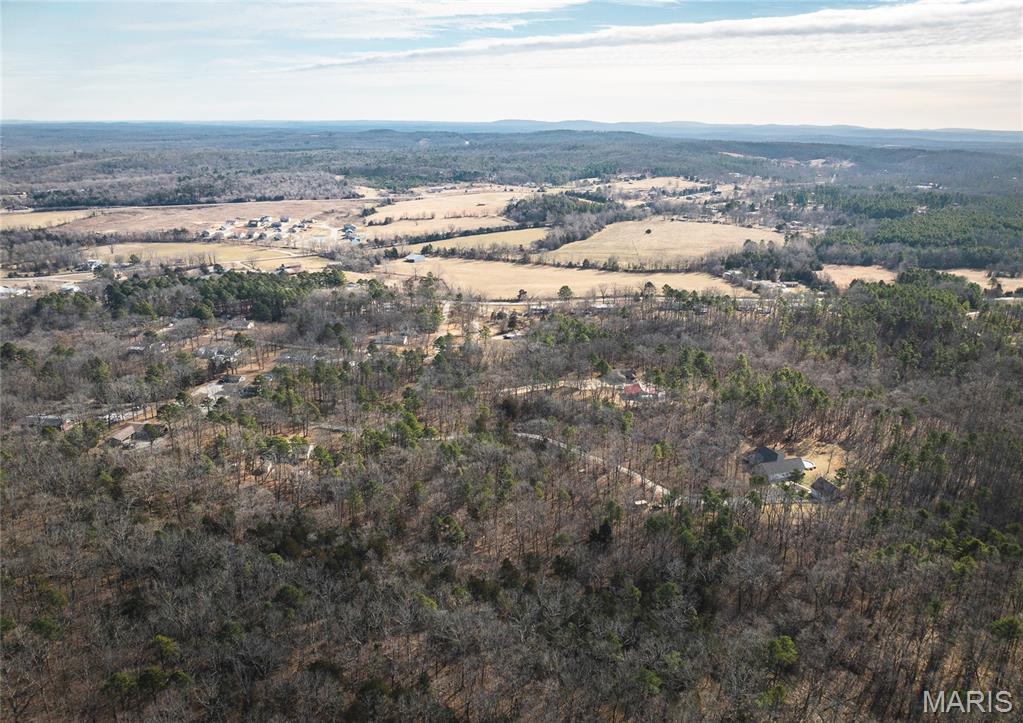 1 Bust Subdivision Road Potosi, MO 63664 - Photo 35 of 38