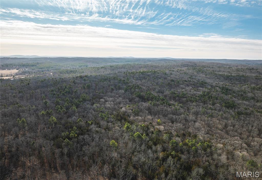 1 Bust Subdivision Road Potosi, MO 63664 - Photo 4 of 38