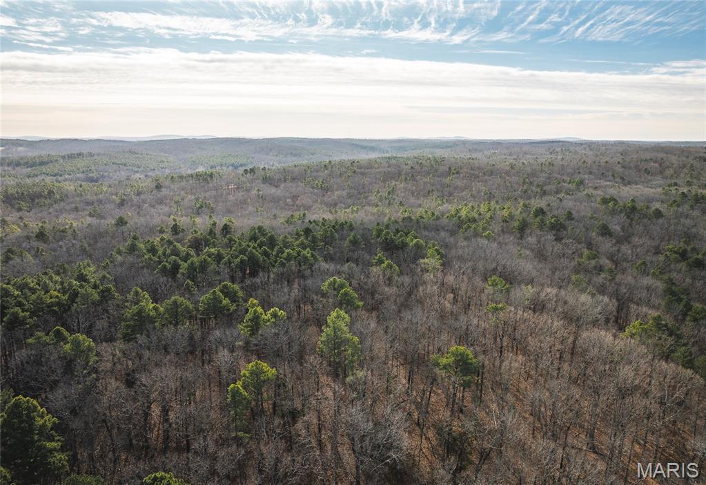 1 Bust Subdivision Road Potosi, MO 63664 - Photo 6 of 38