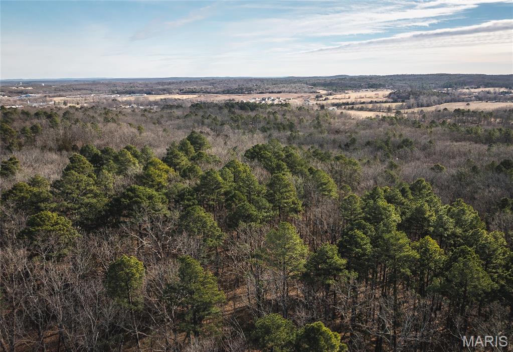 1 Bust Subdivision Road Potosi, MO 63664 - Photo 7 of 38