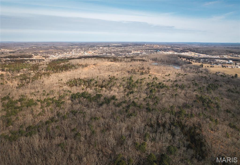 1 Bust Subdivision Road Potosi, MO 63664 - Photo 8 of 38