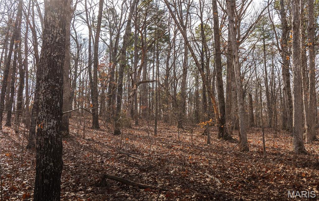 1 Bust Subdivision Road Potosi, MO 63664 - Photo 9 of 38