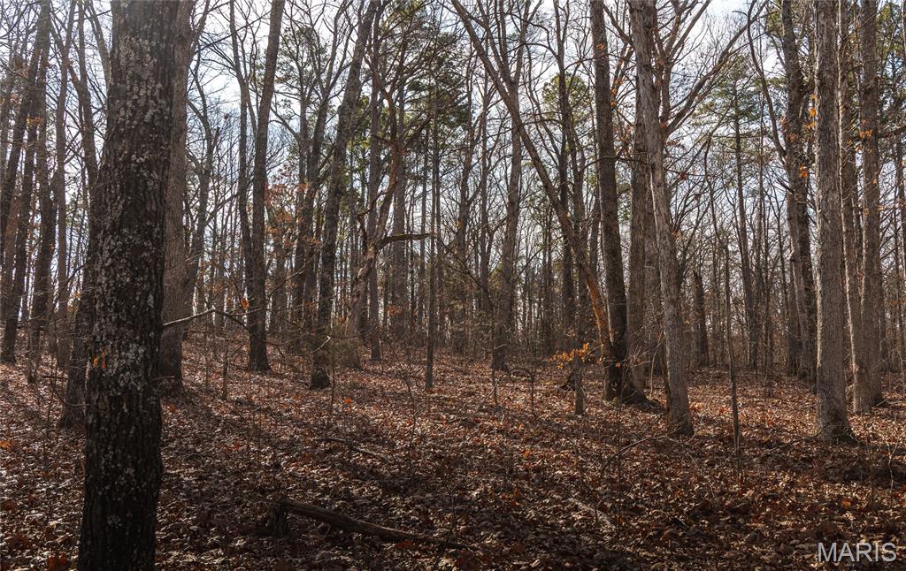 1 Bust Subdivision Road Potosi, MO 63664 - Photo 10 of 38