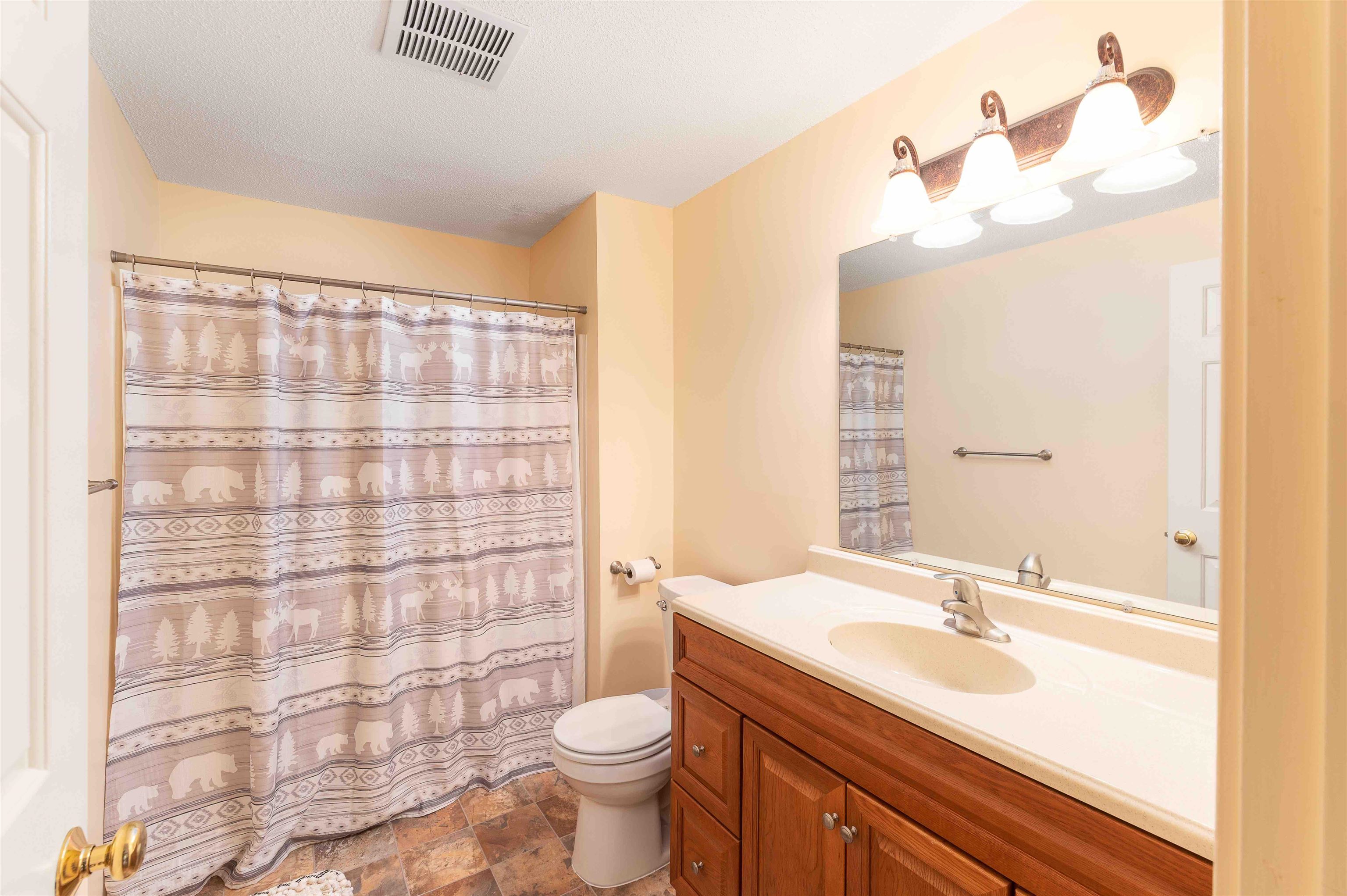 15 D Seasons At Attitash Road, Unit D North Conway, NH 03860 - Photo 10 of 21