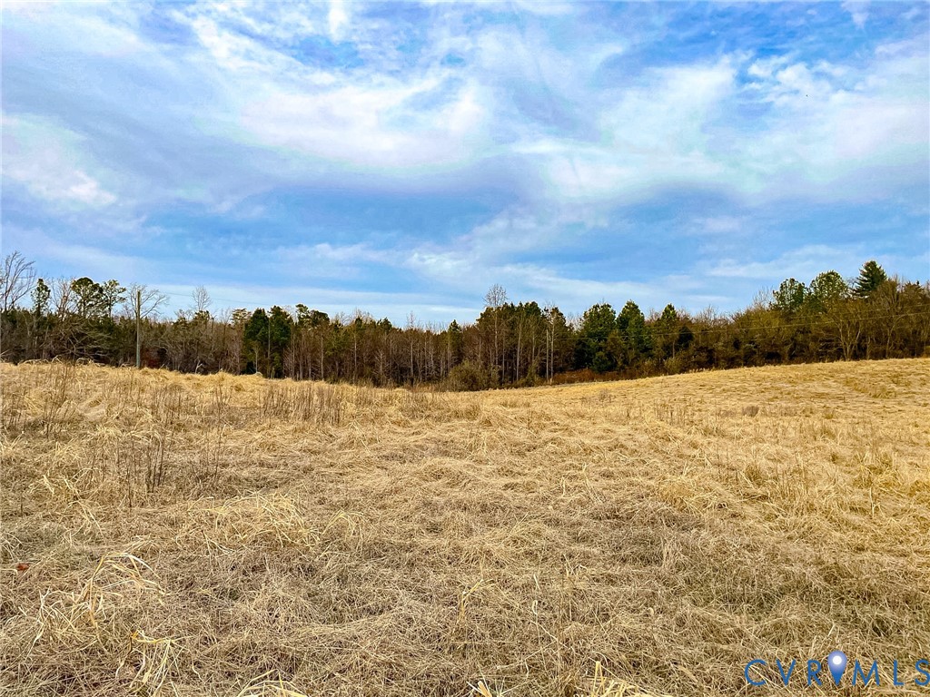 59 Taylor Farms Road Kenbridge, VA 23944 - Photo 50 of 50