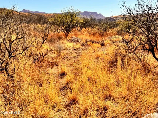 $7,000 | 773 Avenida Beatriz, Unit 8, Rio Rico, AZ 85648