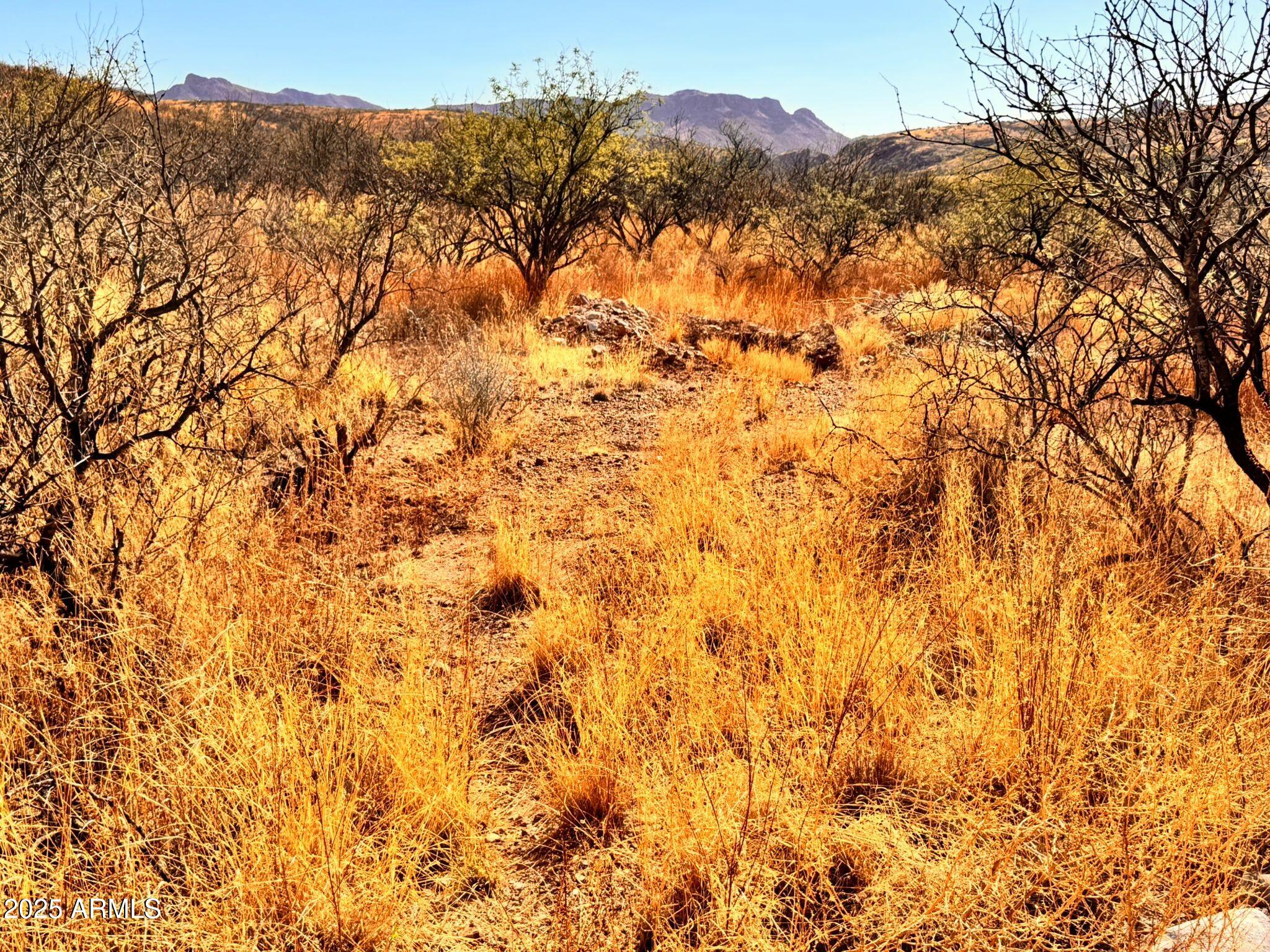 773 Avenida Beatriz, Unit 8 Rio Rico, AZ 85648 - Photo 3 of 6 edf5d1f7-47b4-456f-a964-78dc2dc2f9da