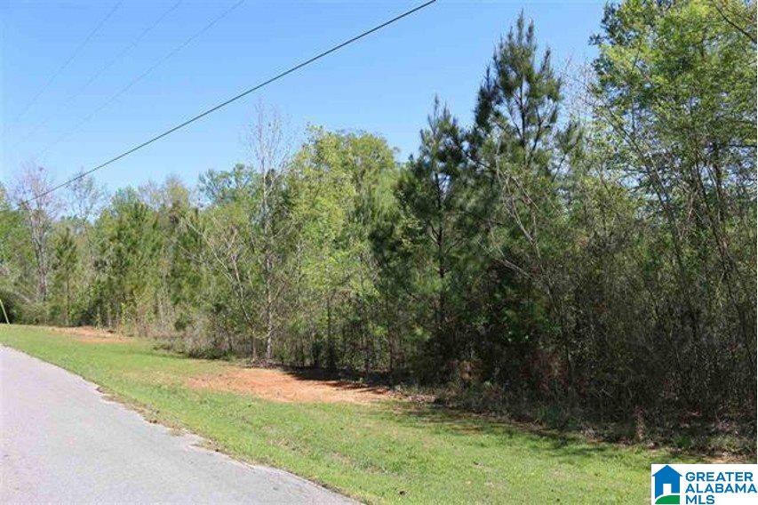 Lot 52 Brenda Lane, Unit 52 Montevallo, AL 35115 - Photo 5 of 6