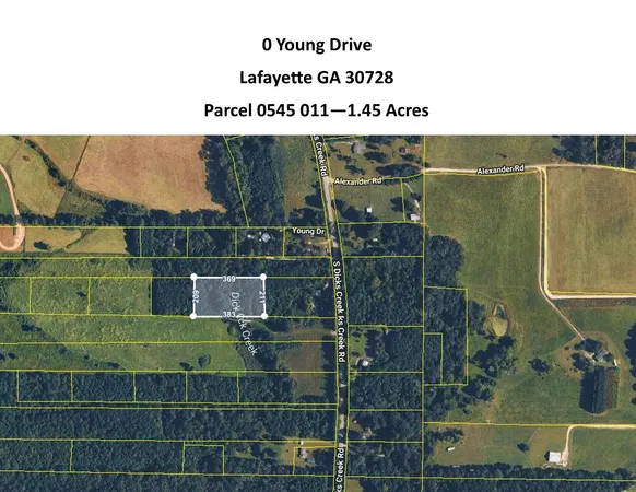 $12,000 | 0 Young Drive, LaFayette, GA 30728