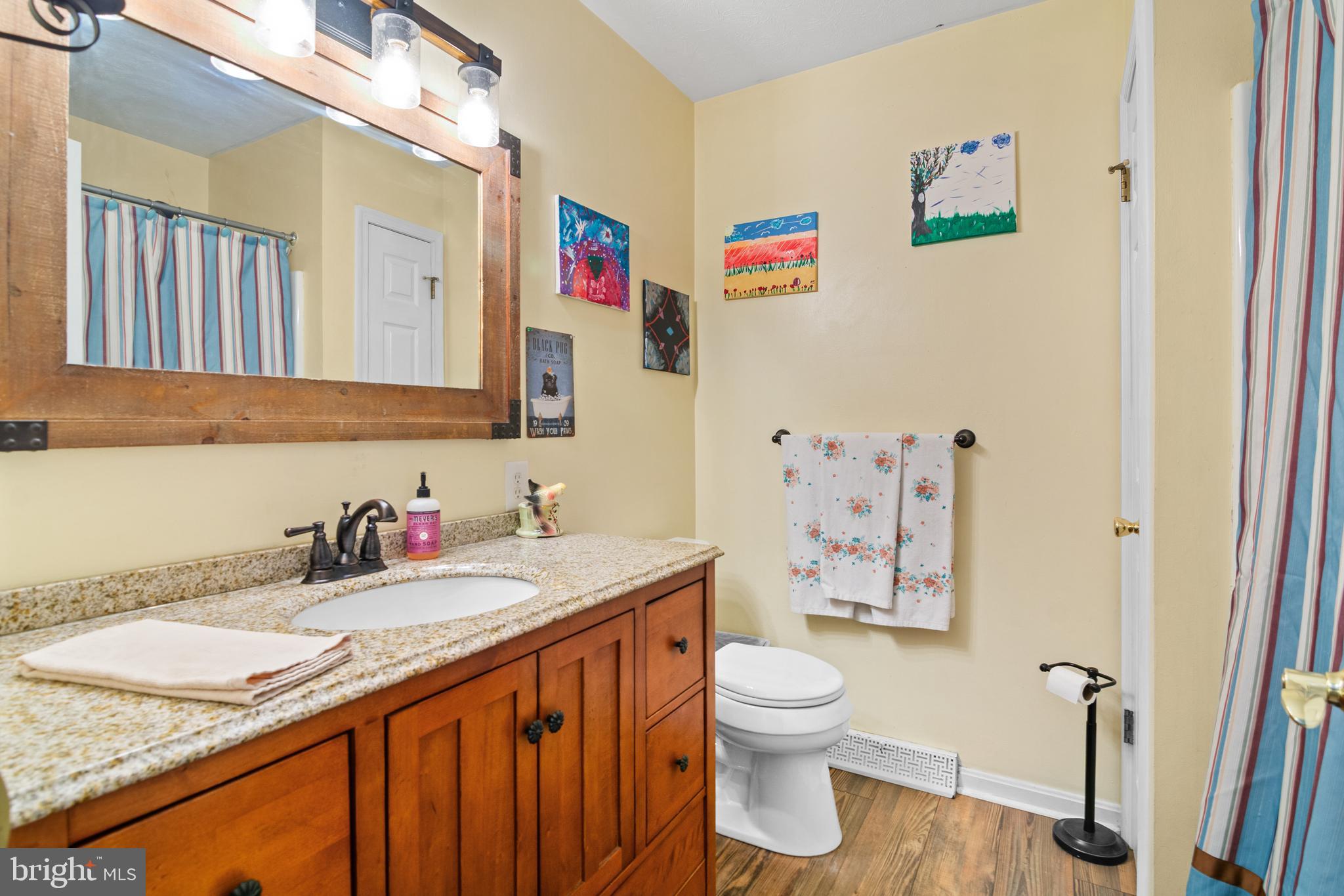193 Hitching Post Drive Rising Sun, MD 21911 - Photo 18 of 43 Main Level Full bath