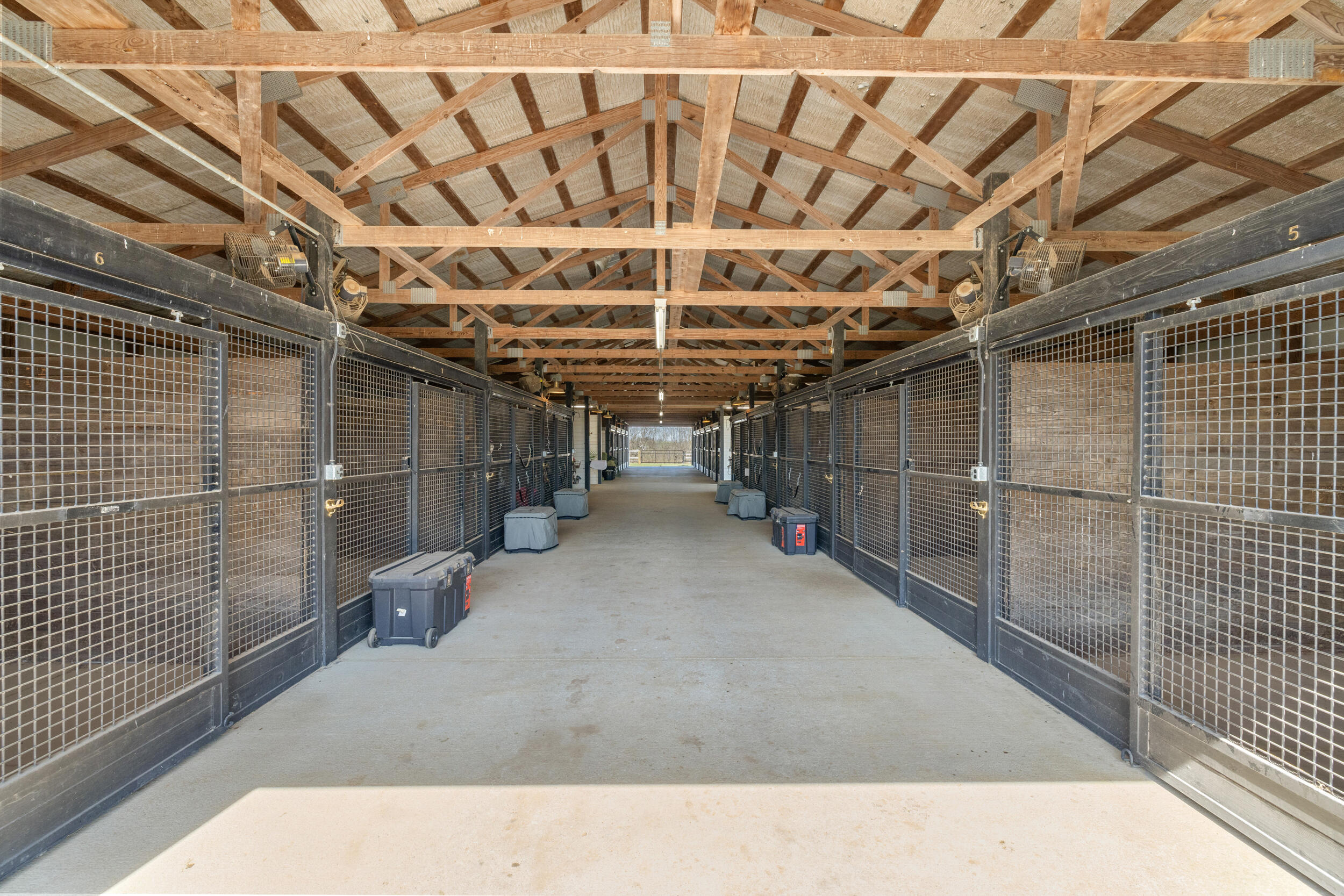 2353 North Middletown Road Paris, KY 40361 - Photo 89 of 117 78_1h4a8652