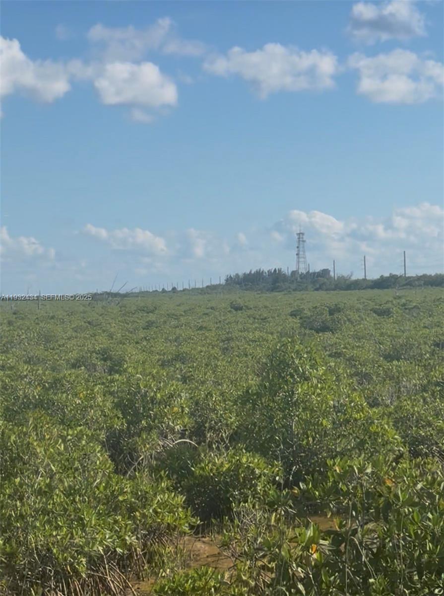 Unincorporated Unincorporated Homestead, FL 33035 - Photo 11 of 23