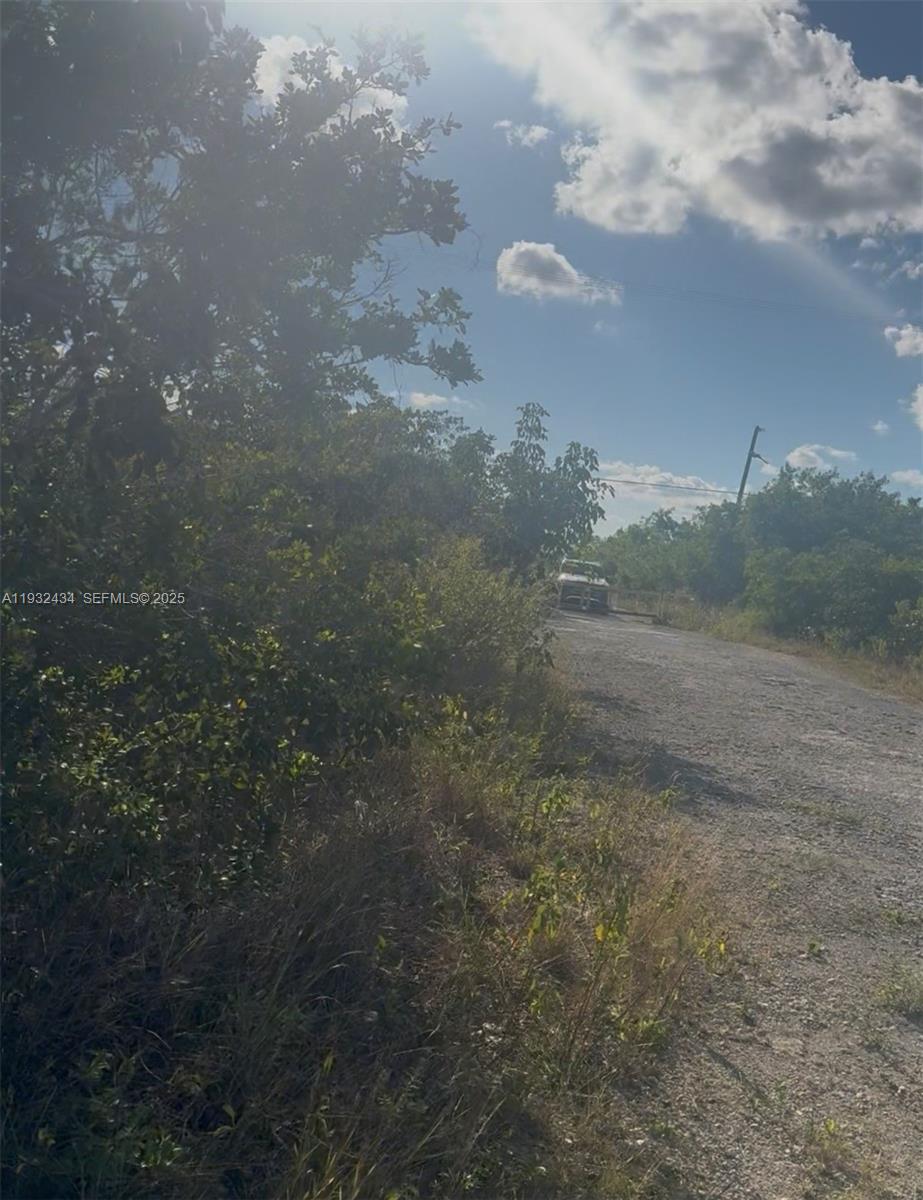 Unincorporated Unincorporated Homestead, FL 33035 - Photo 15 of 23