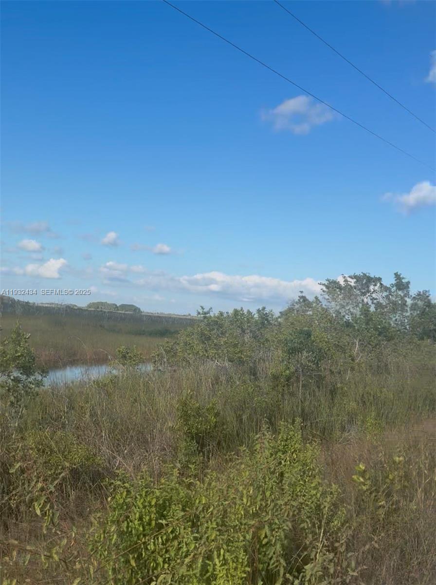 Unincorporated Unincorporated Homestead, FL 33035 - Photo 16 of 23