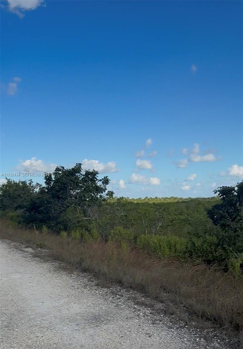 Unincorporated Unincorporated Homestead, FL 33035 - Photo 2 of 23