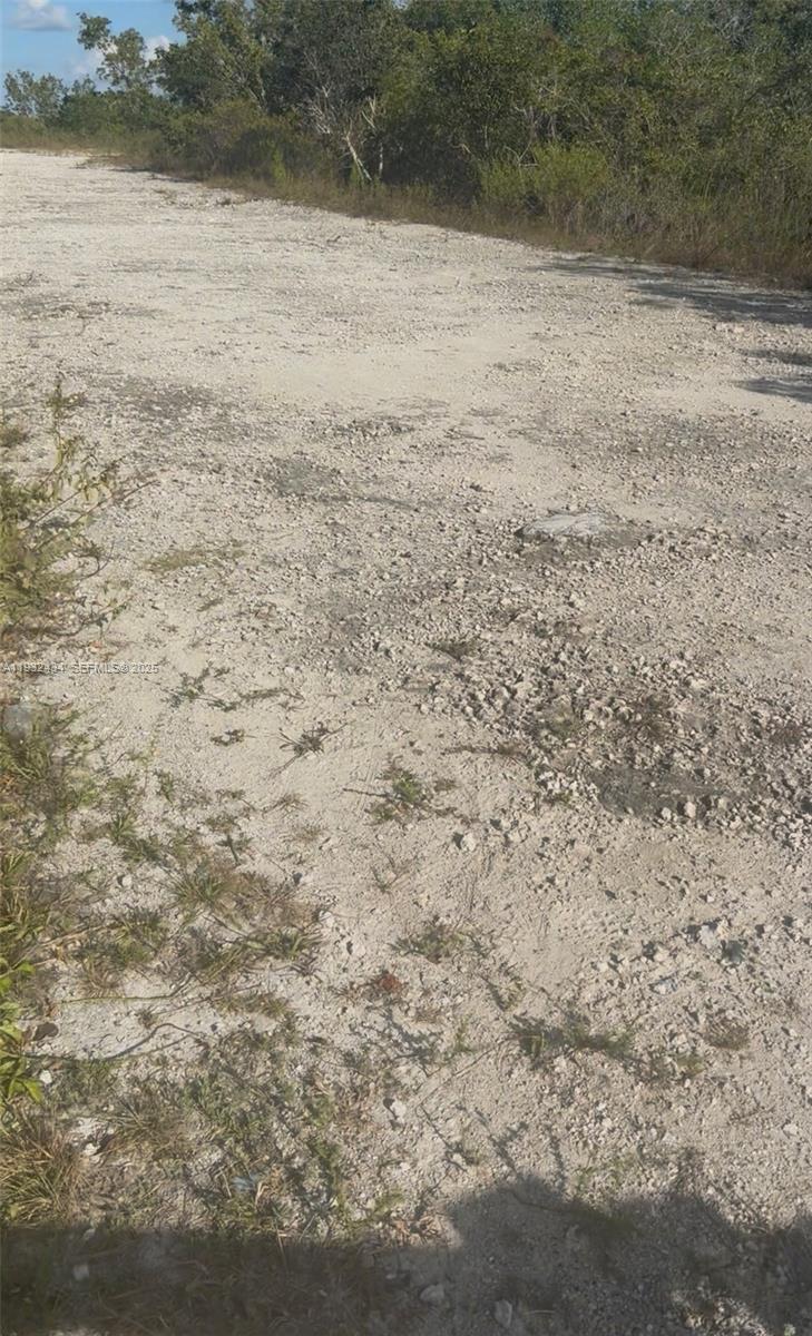 Unincorporated Unincorporated Homestead, FL 33035 - Photo 21 of 23