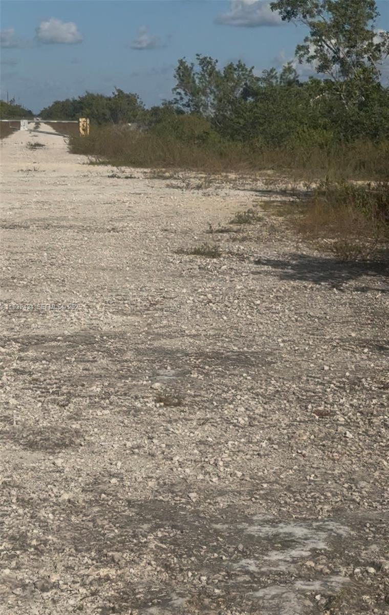 Unincorporated Unincorporated Homestead, FL 33035 - Photo 22 of 23