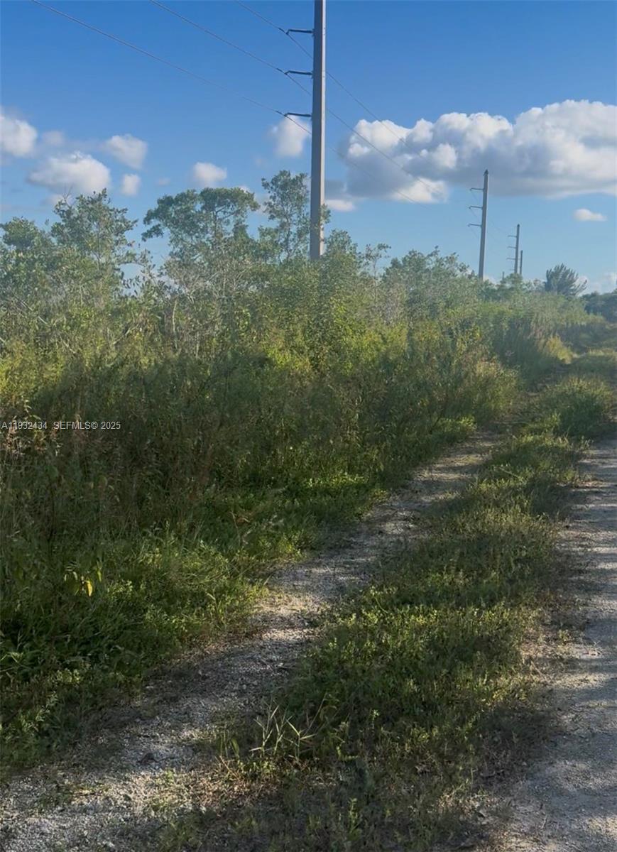 Unincorporated Unincorporated Homestead, FL 33035 - Photo 3 of 23
