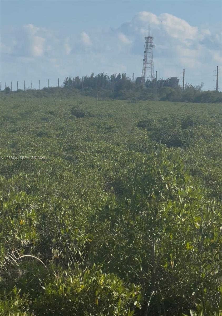 Unincorporated Unincorporated Homestead, FL 33035 - Photo 4 of 23