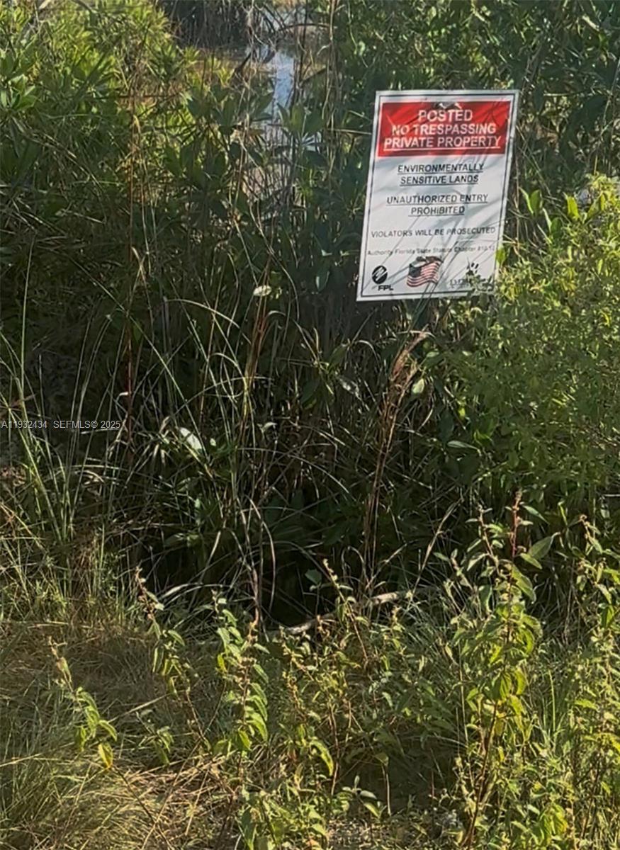 Unincorporated Unincorporated Homestead, FL 33035 - Photo 5 of 23