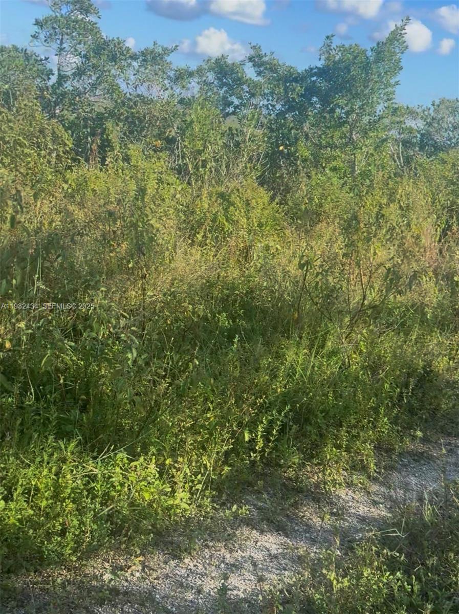 Unincorporated Unincorporated Homestead, FL 33035 - Photo 6 of 23