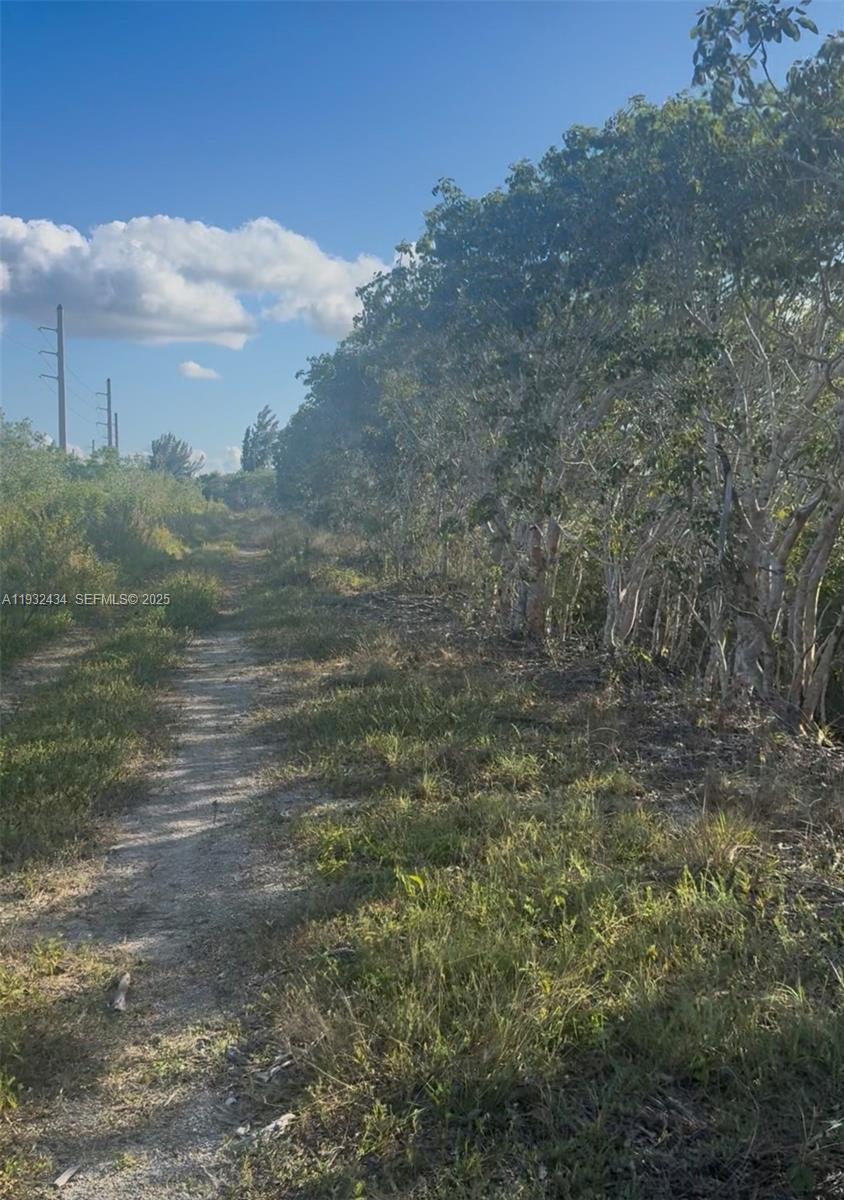 Unincorporated Unincorporated Homestead, FL 33035 - Photo 8 of 23