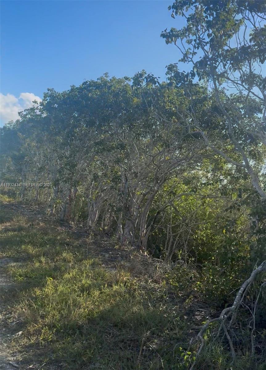 Unincorporated Unincorporated Homestead, FL 33035 - Photo 9 of 23